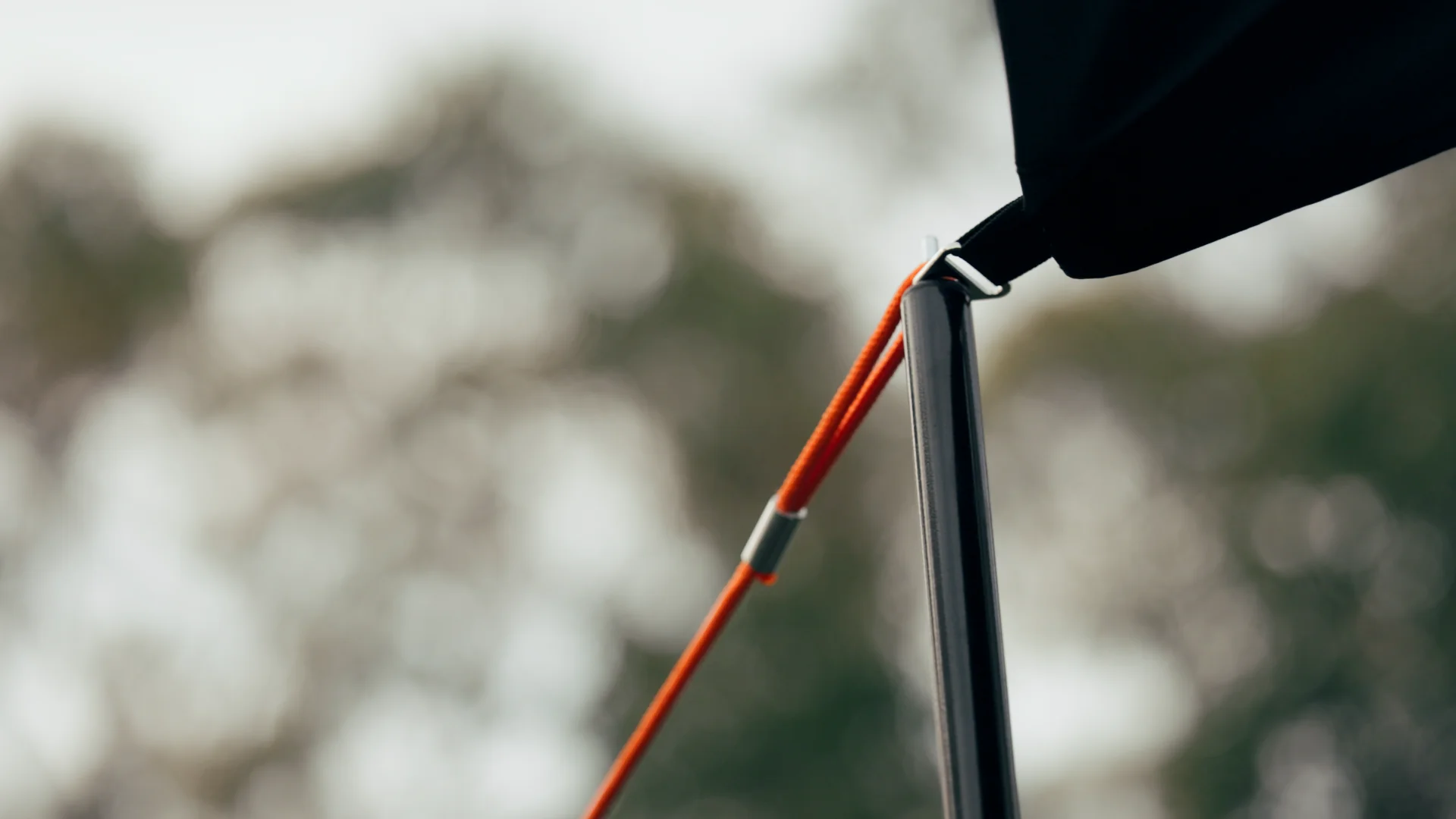 AXIS POLE - Image 6